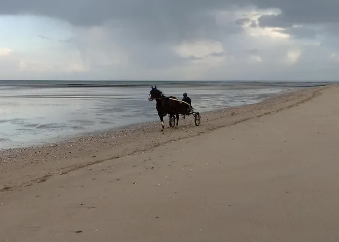 Gîtes en Normandie en Front de Mer Asnelles